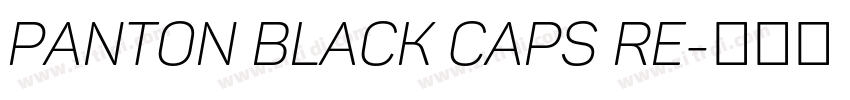 panton black caps re字体转换